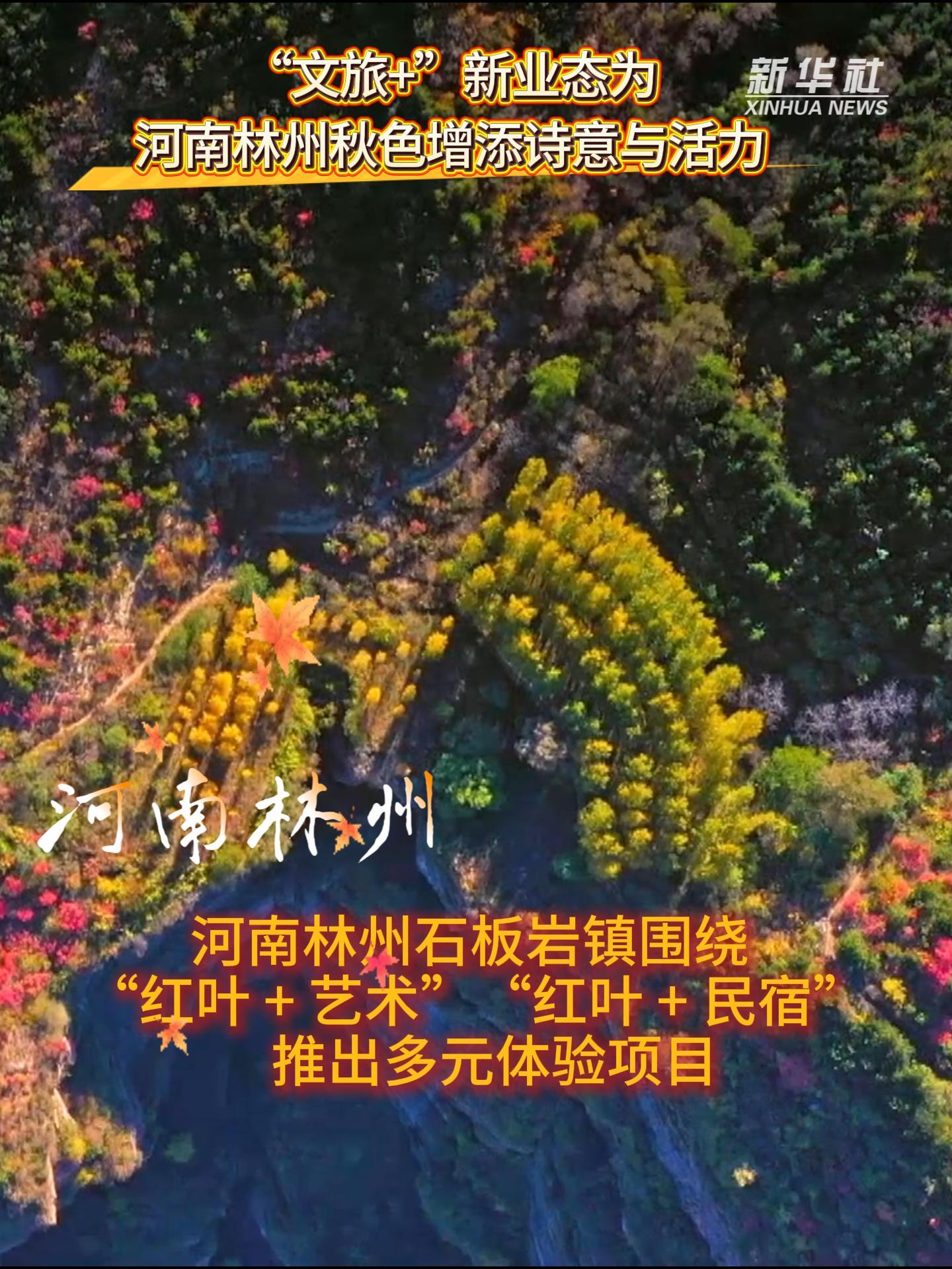 “文旅+”新业态为河南林州秋色增添诗意与活力