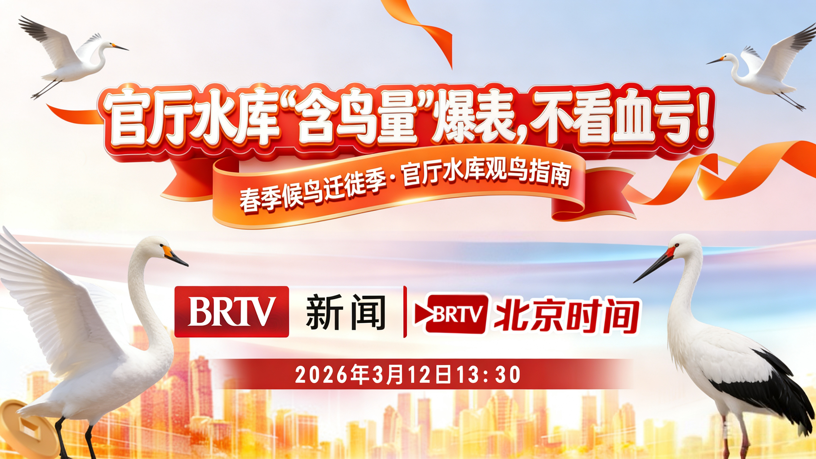 官厅水库 “含鸟量”爆表,不看血亏! 官厅水库 “含鸟量”爆表,不看血亏!