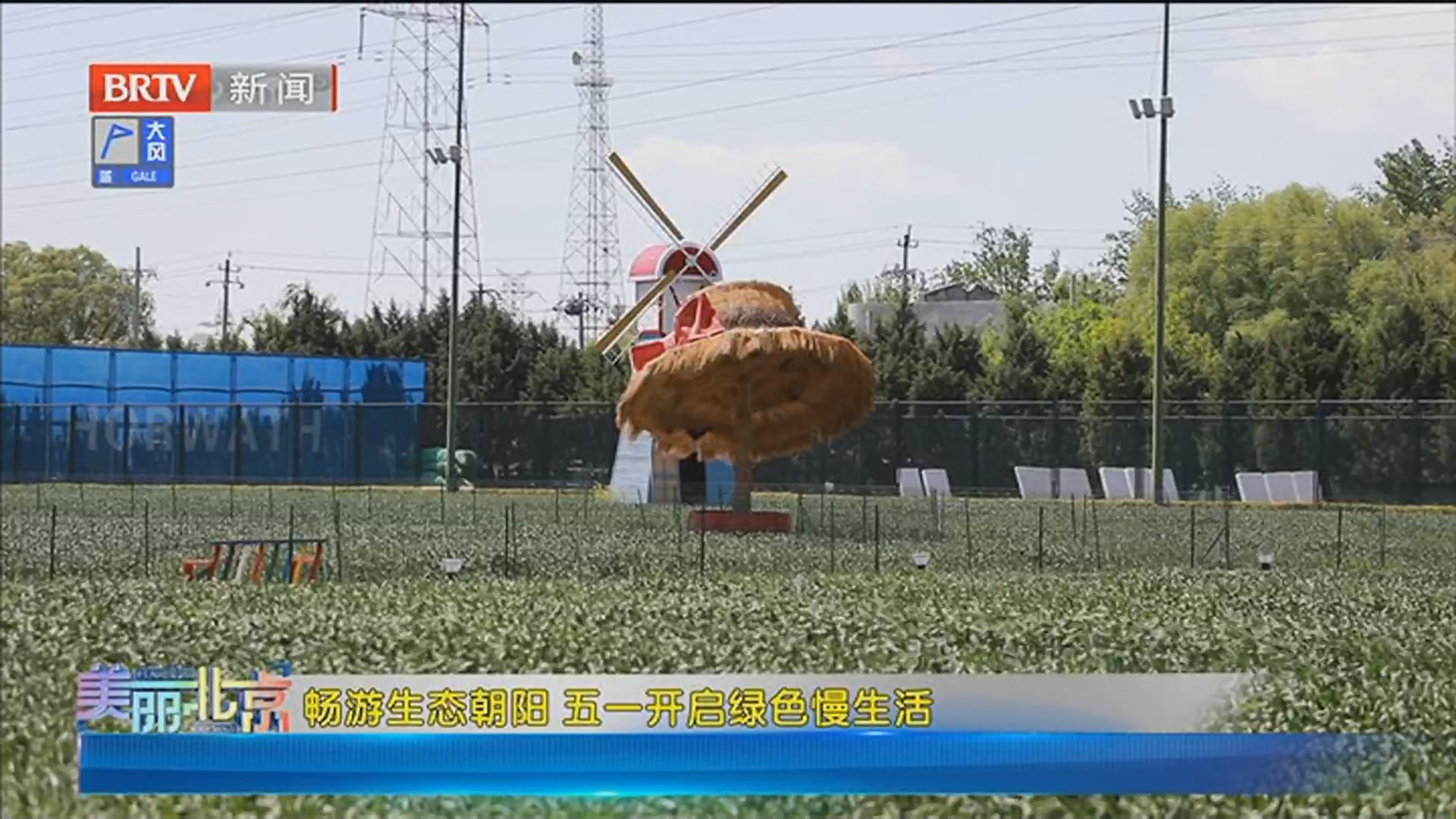 《美丽北京》20260502畅游生态朝阳 五一开启绿色慢生活