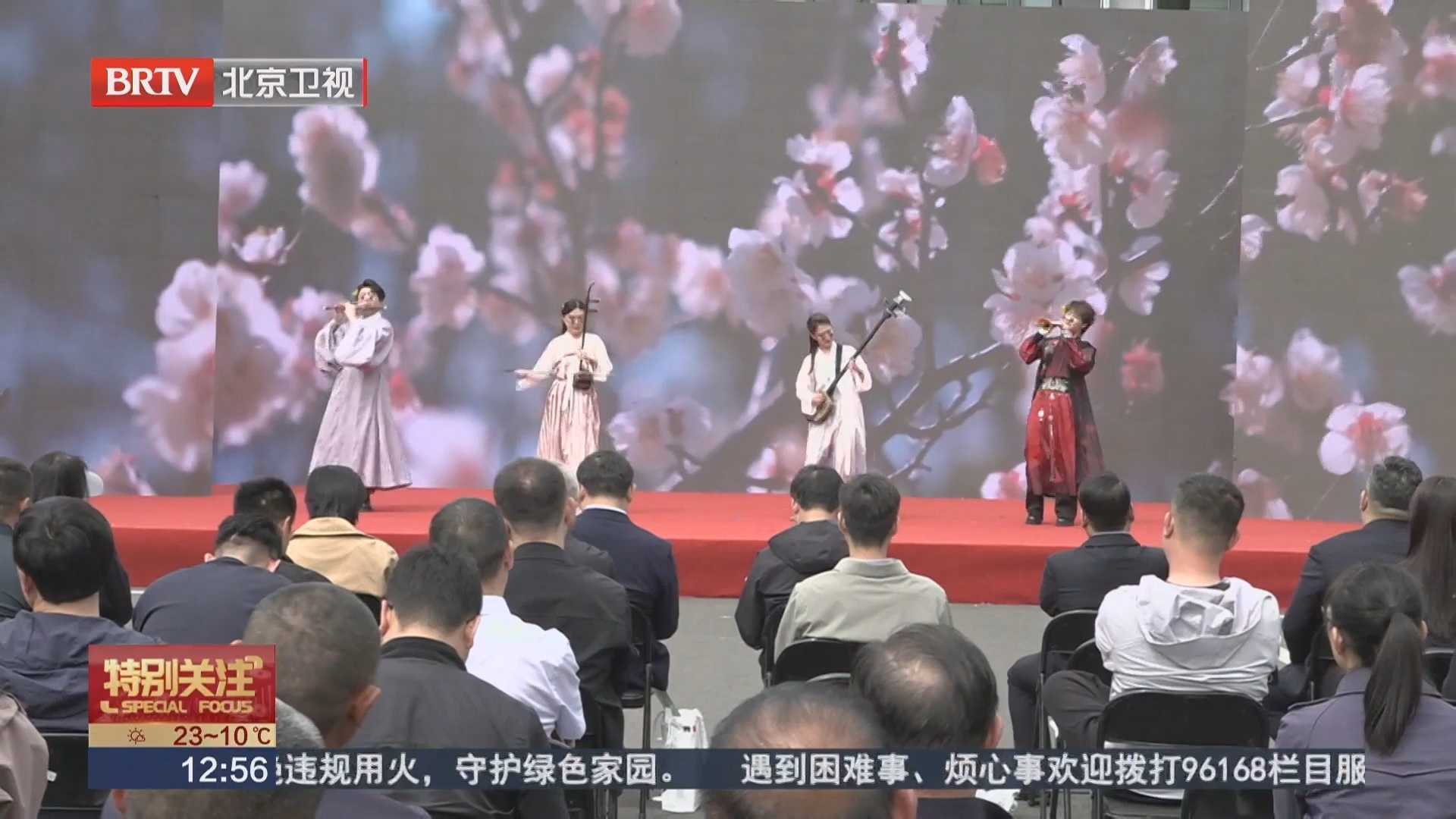 杏花染青山 怀柔区怀北镇第19届杏花节拉开帷幕