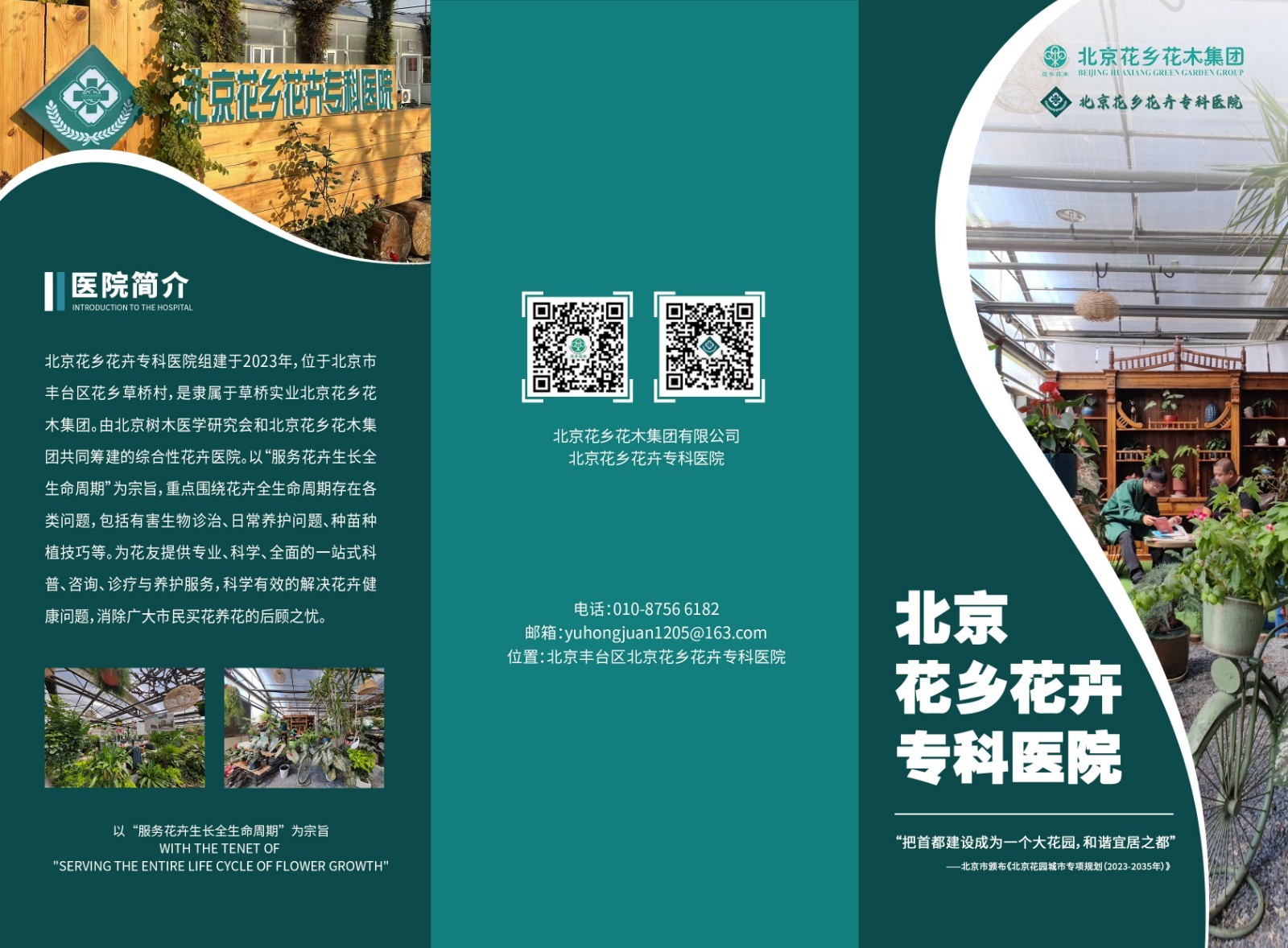 年宵花蔫了别扔!“花医生”上线轻松救活 年宵花蔫了别扔!“花医生”上线轻松救活