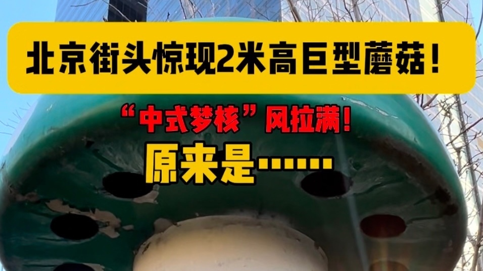 “中式梦核”风拉满!北京街头惊现2米高蘑菇!原来是…… “中式梦核”风拉满!北京街头惊现2米高蘑菇!原来是……