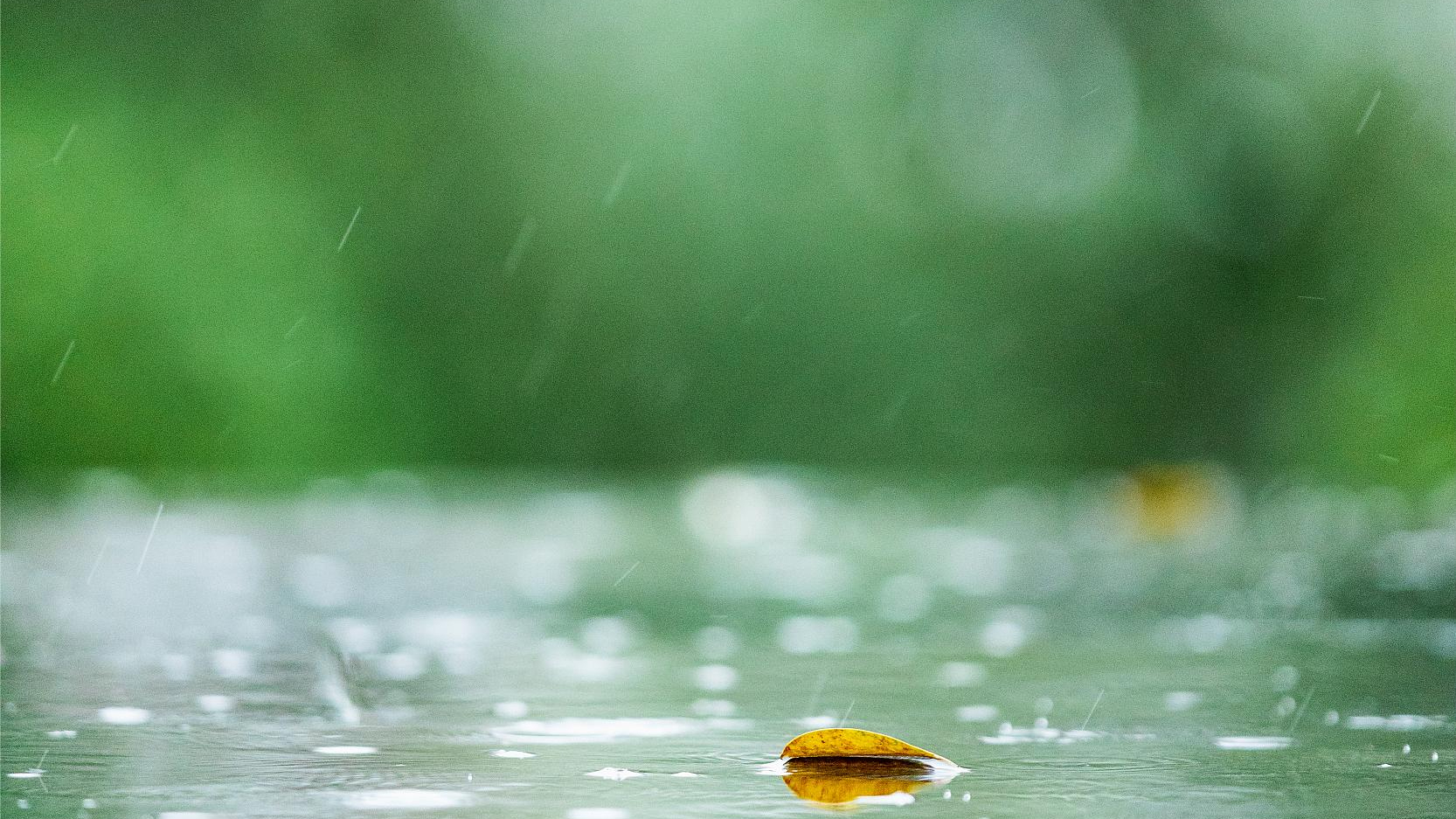 未来两小时,北京城区及北部降雨明显,高海拔山区或有雪 未来两小时,北京城区及北部降雨明显,高海拔山区或有雪