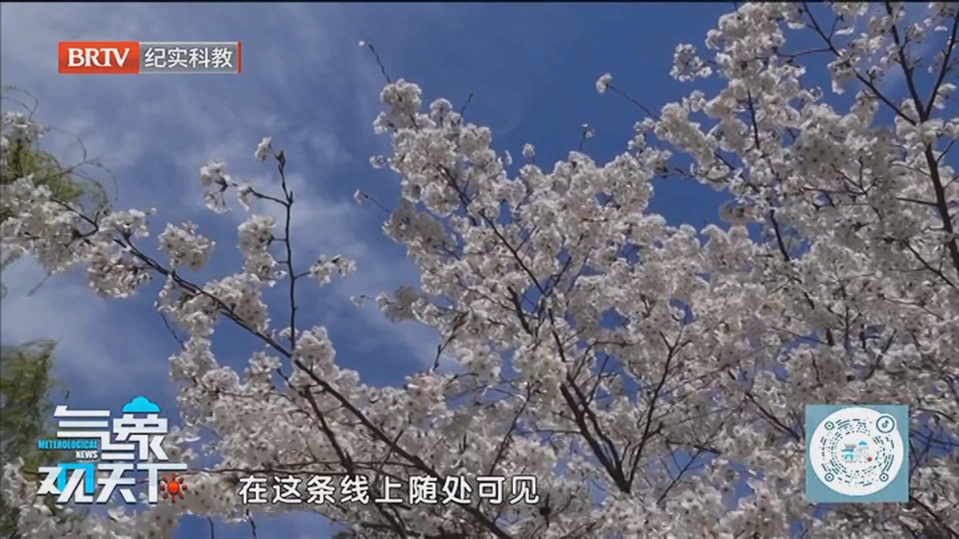 《气象观天下》20260515北方高温限时体验 南方持续迎接雨水洗礼