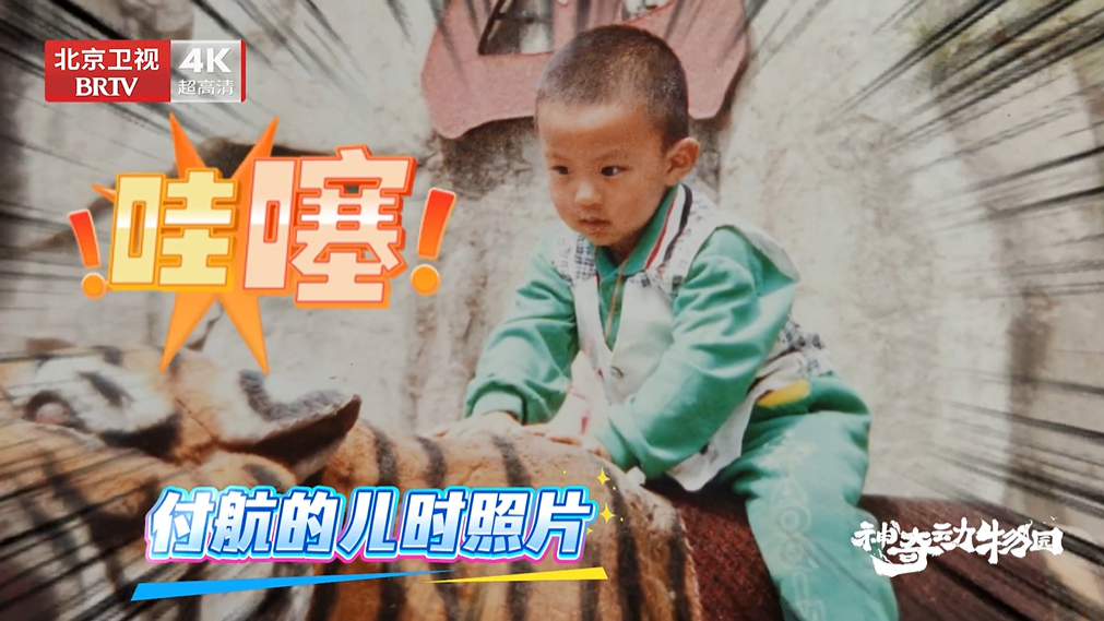 每个北京孩子都有一张小时候在狮虎山的合照