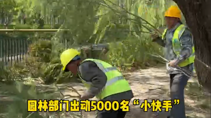 北京园林绿化部门出动5000名“小快手”快速恢复景观 北京园林绿化部门出动5000名“小快手”快速恢复景观