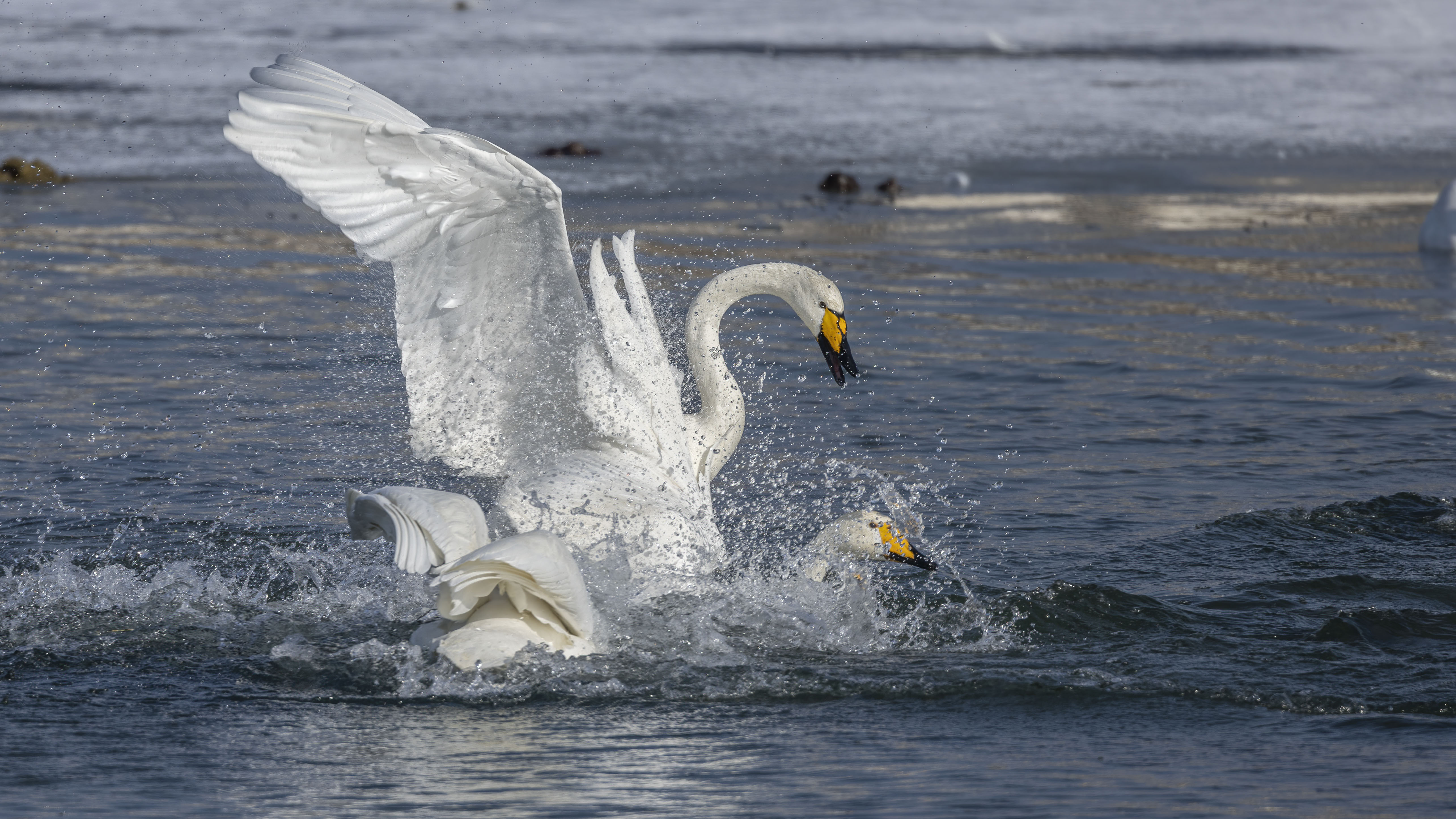 2024年北京密云水库保护公益基金会“全国生态日”主题活动举办