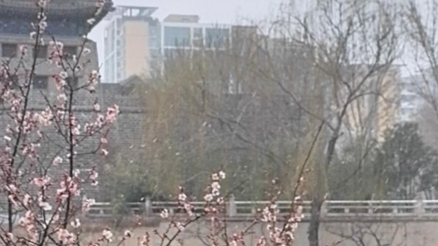 雪落京城,诗意满城,在初春邂逅一场限定雪景 雪落京城,诗意满城,在初春邂逅一场限定雪景