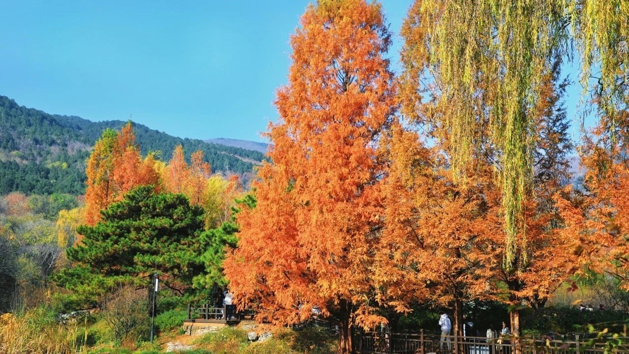 气温大转折!北京寒潮蓝色预警 48小时降温近10℃! 气温大转折!北京寒潮蓝色预警 48小时降温近10℃!