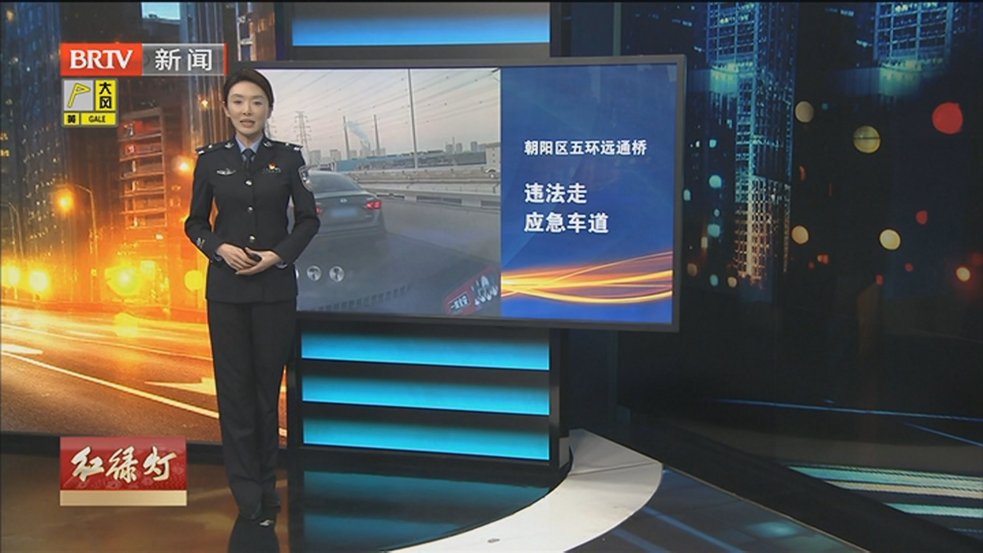 解码随手拍 20260220