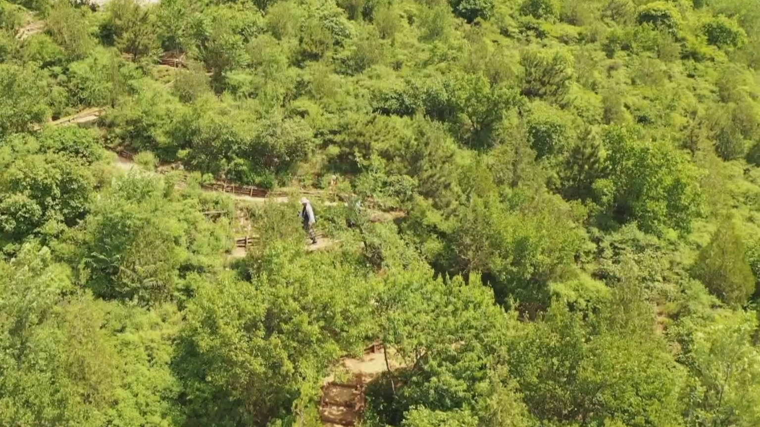 北京观长城森林步道（延庆段一期）工程发布