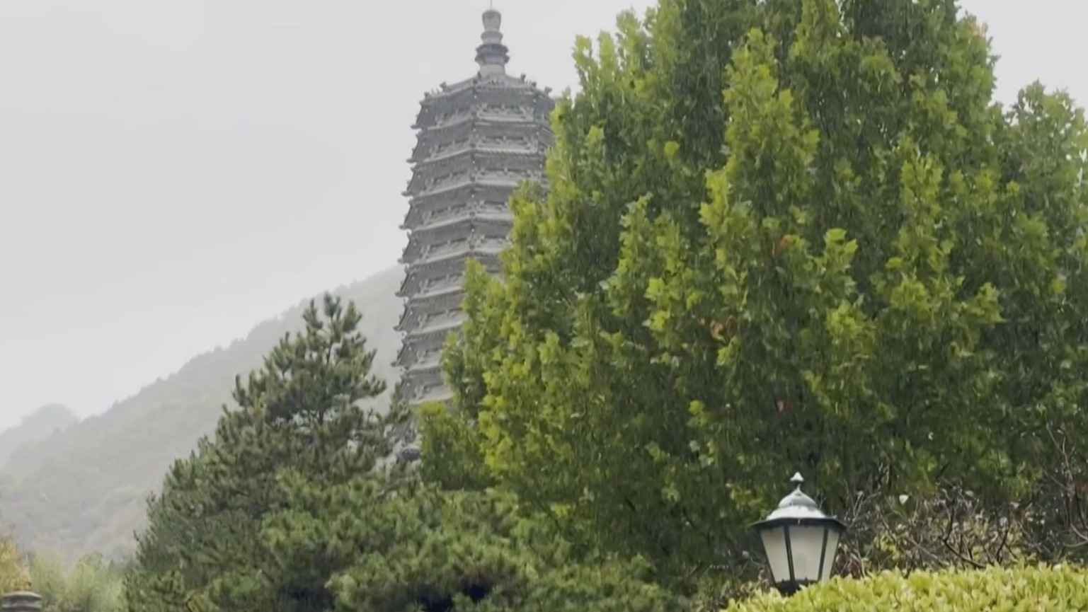 一城秋雨 满目秋华