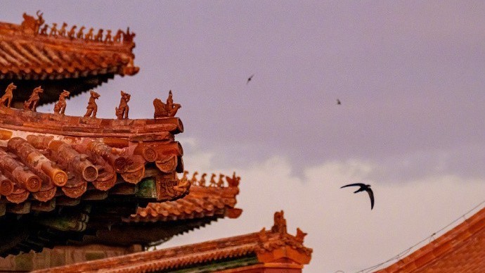 分分钟大片!故宫壁纸上新啦 分分钟大片!故宫壁纸上新啦