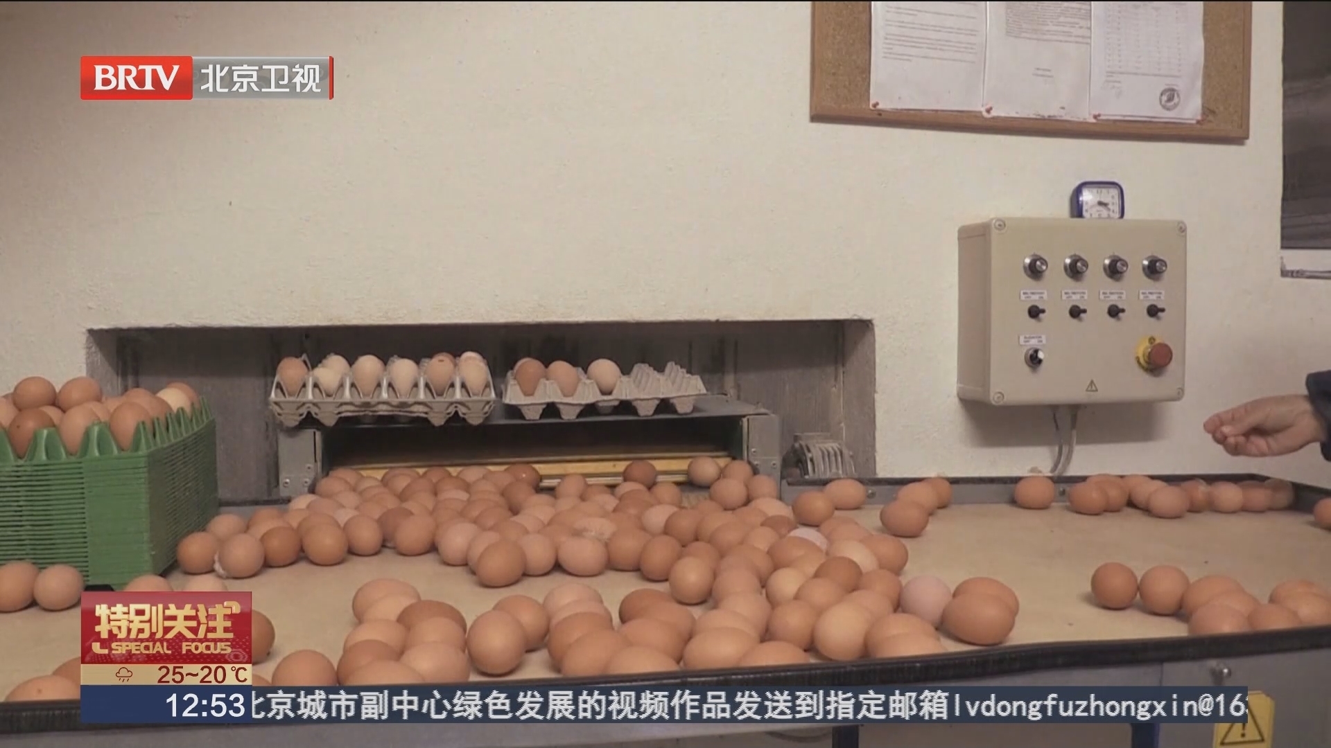 美国近期数十人感染沙门氏菌 均与问题鸡蛋有关