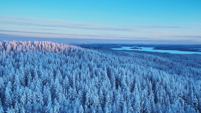 有你在 才是春节 有你在 才是春节