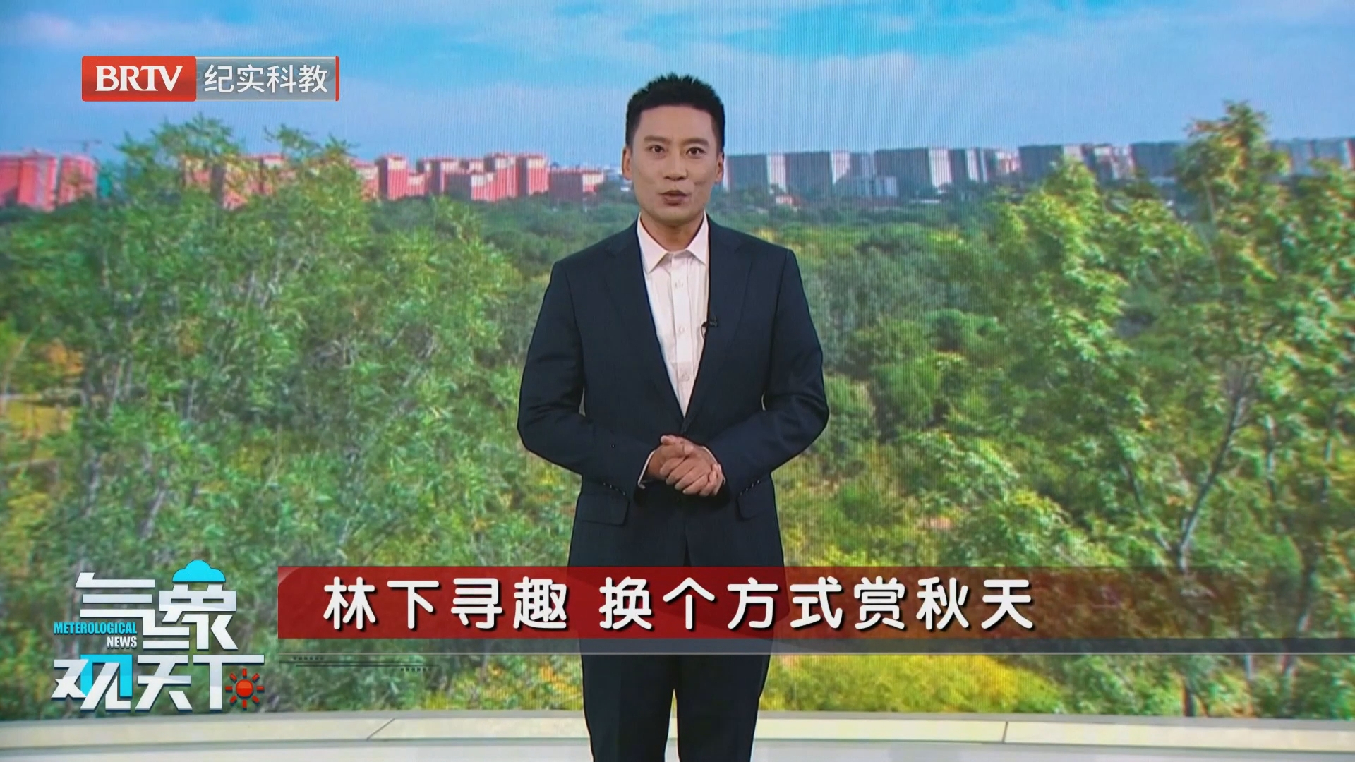 林下寻趣 换个方式赏秋天