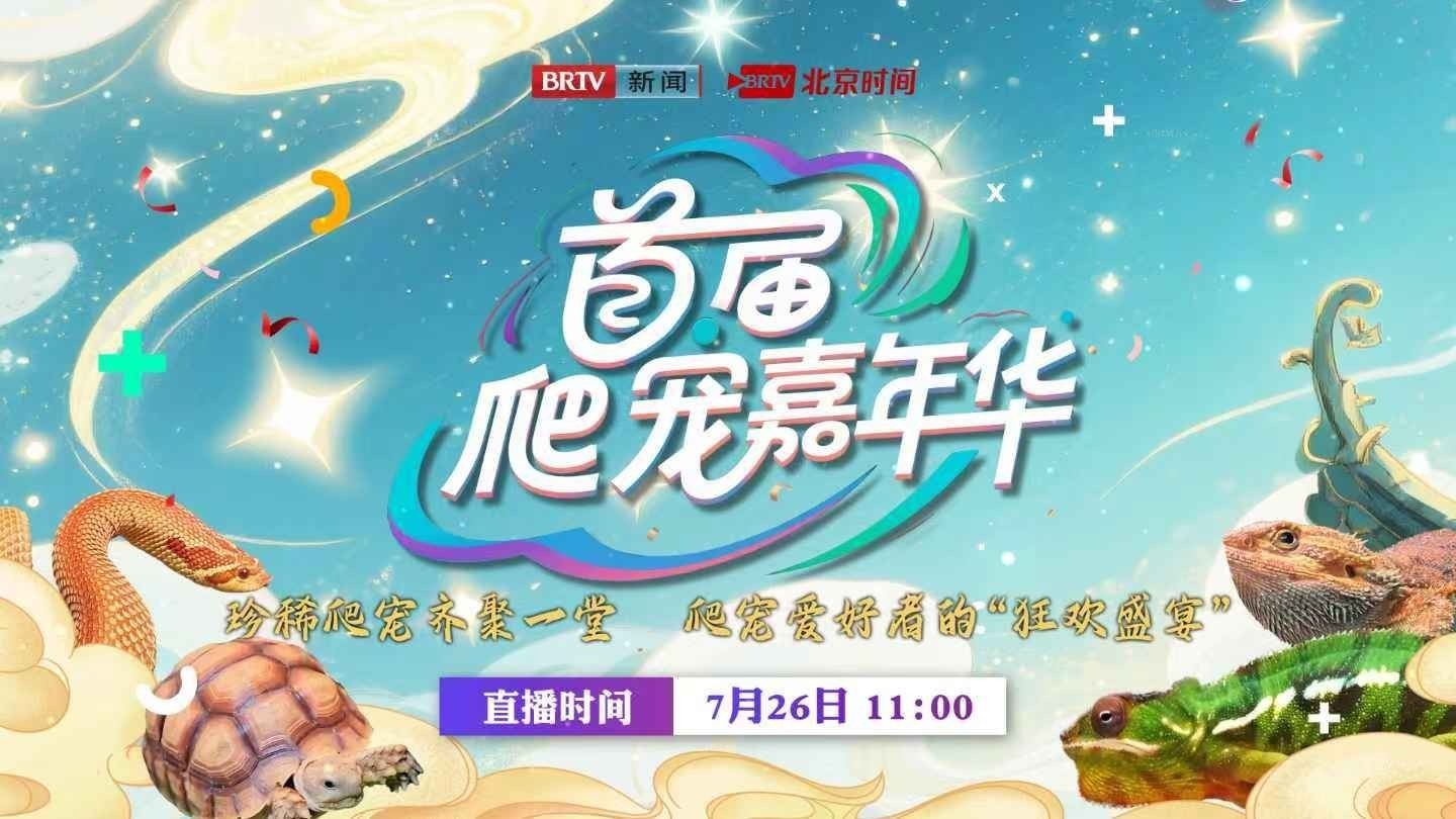 首届爬宠嘉年华来了！