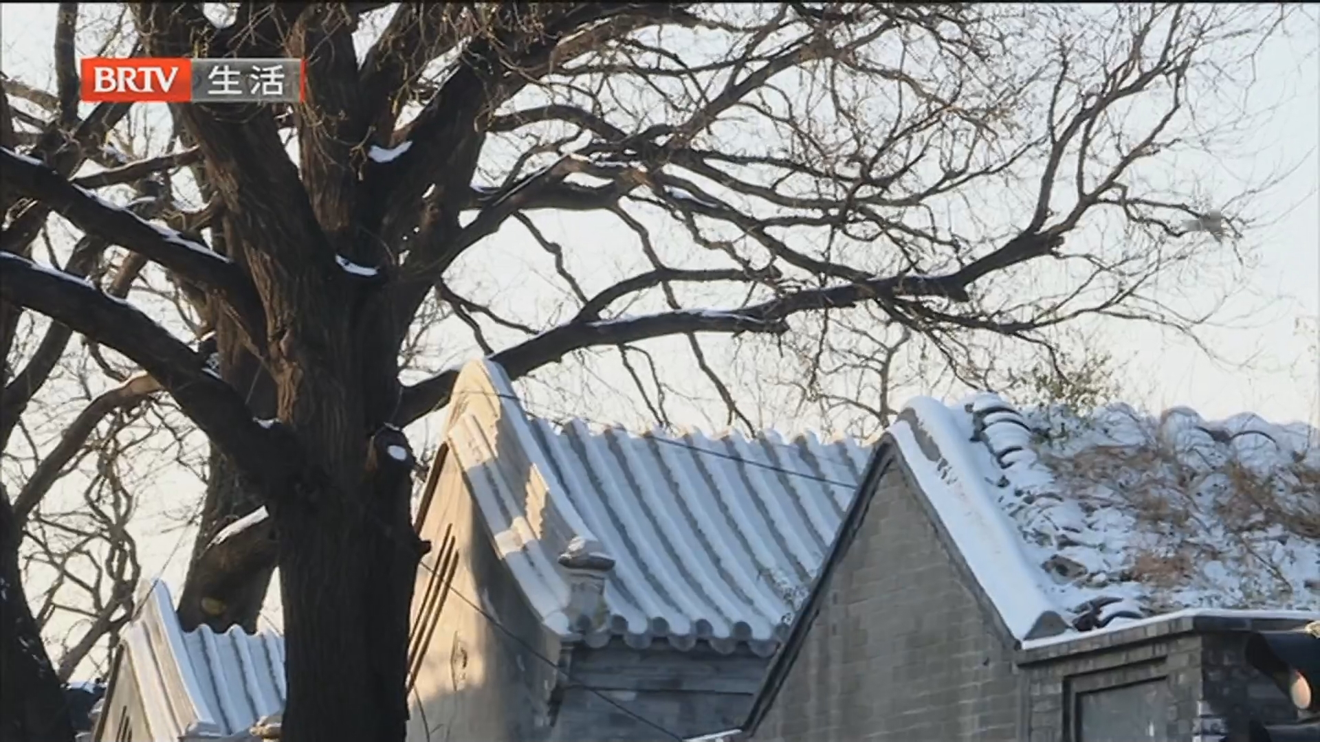 探访医院骨科 摔伤的年轻人格外多 环卫持续清理残余积雪积冰 以防二次结冰