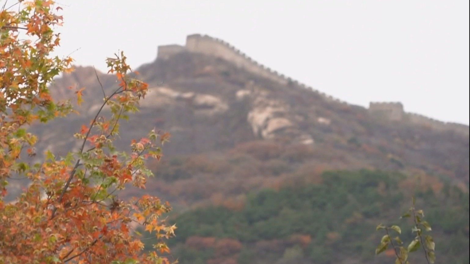 京城多处景区迎来秋叶最佳观赏期 京城多处景区迎来秋叶最佳观赏期
