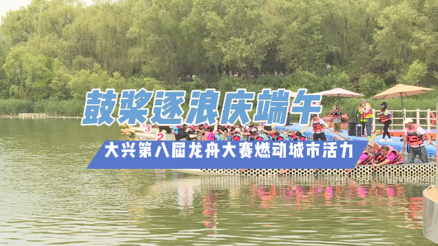 鼓桨逐浪庆端午 北京大兴第八届龙舟大赛燃动城市活力