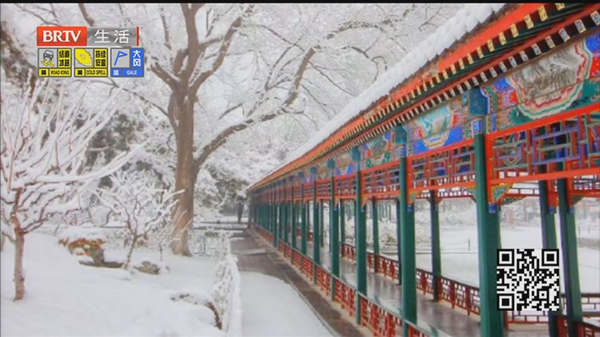 雪映角楼美如画 游人如织赏美景 此次降雪为何雪花显得大？明后天最高气温仅-5℃ 冷意直钻骨头