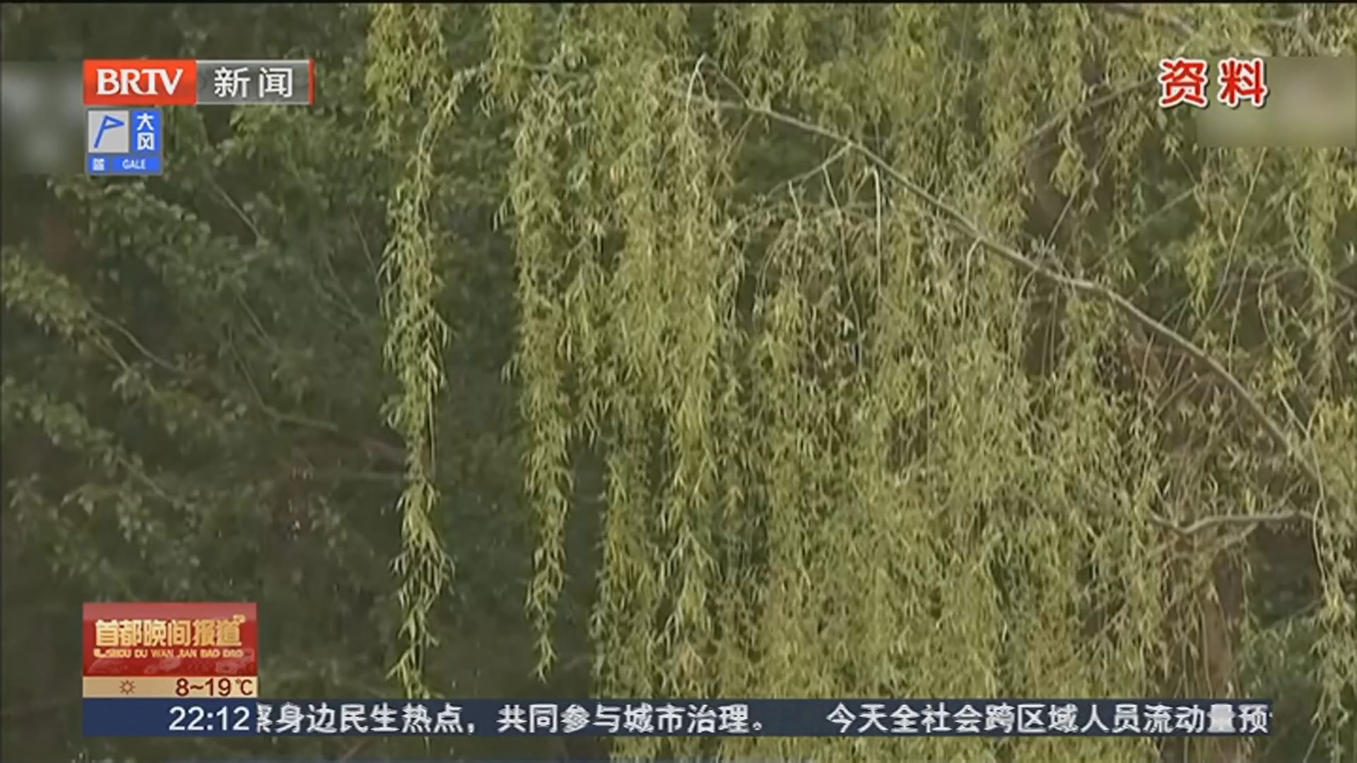 北京发布今年首个杨柳飞絮预报