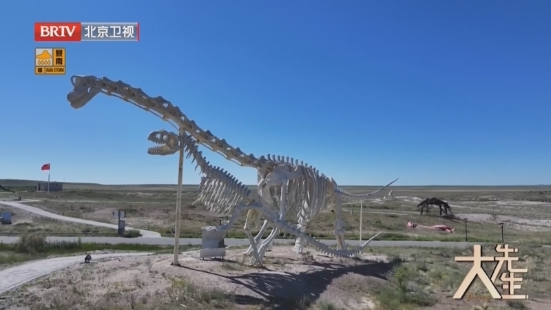 《大先生》20250826探秘龙迹 叩问远古