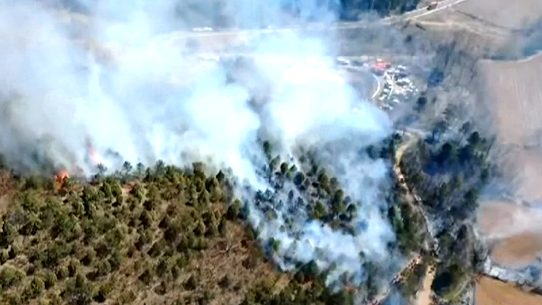 本市4月4日发生两起山区火情 皆由祭扫用火引发 本市4月4日发生两起山区火情 皆由祭扫用火引发