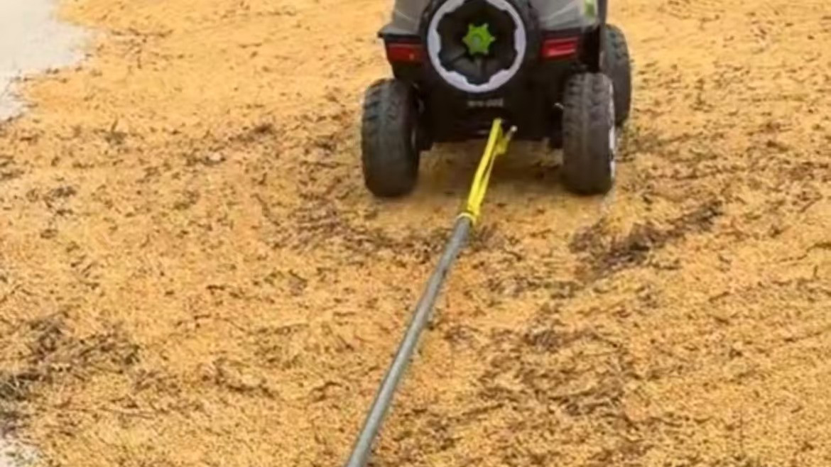 农场玩具让萌娃化身人形扫地机