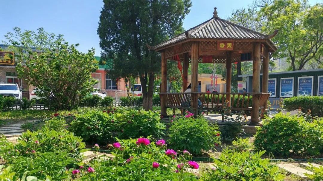 北京房山：文明创建 | “一米花园”里的社区治理密码