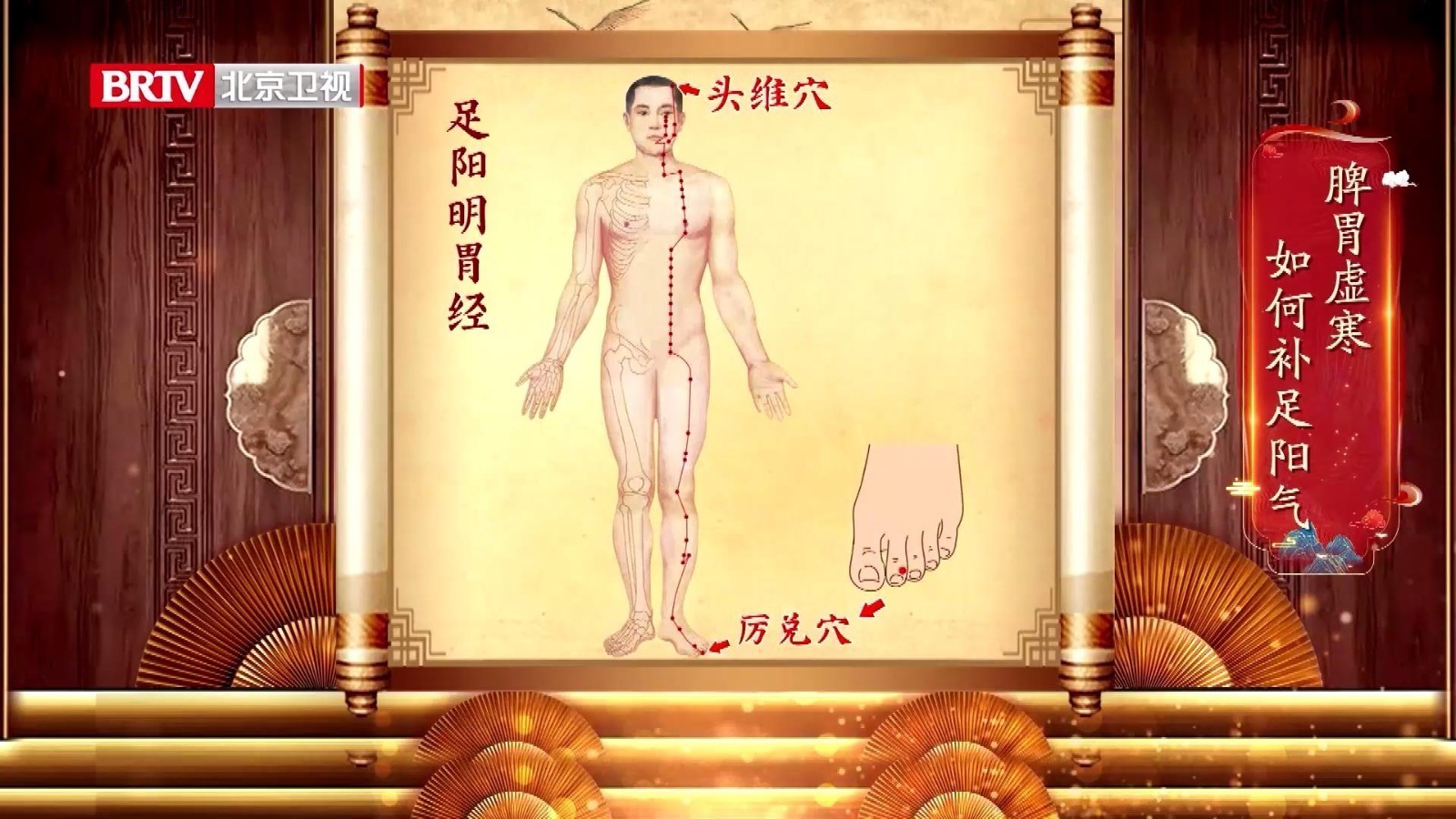 脾胃虚寒、食欲不振、怕冷，就敲足阳明胃经，从头到脚都别落下！