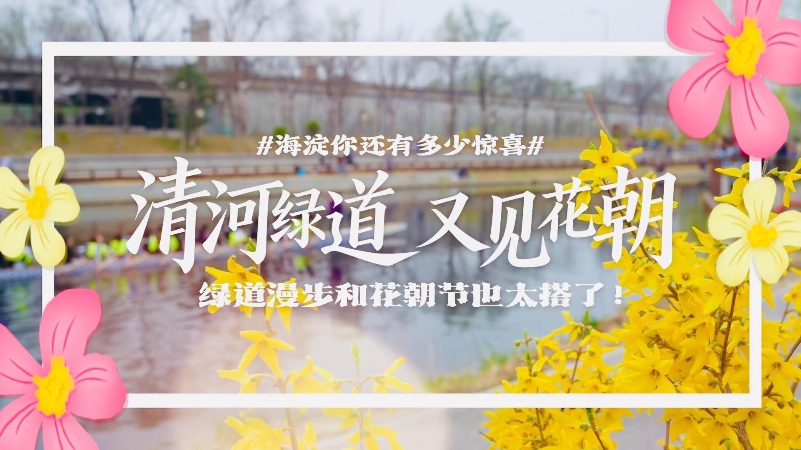 循着绿道看海淀花影映水岸，解锁“一步一景、一路繁花”