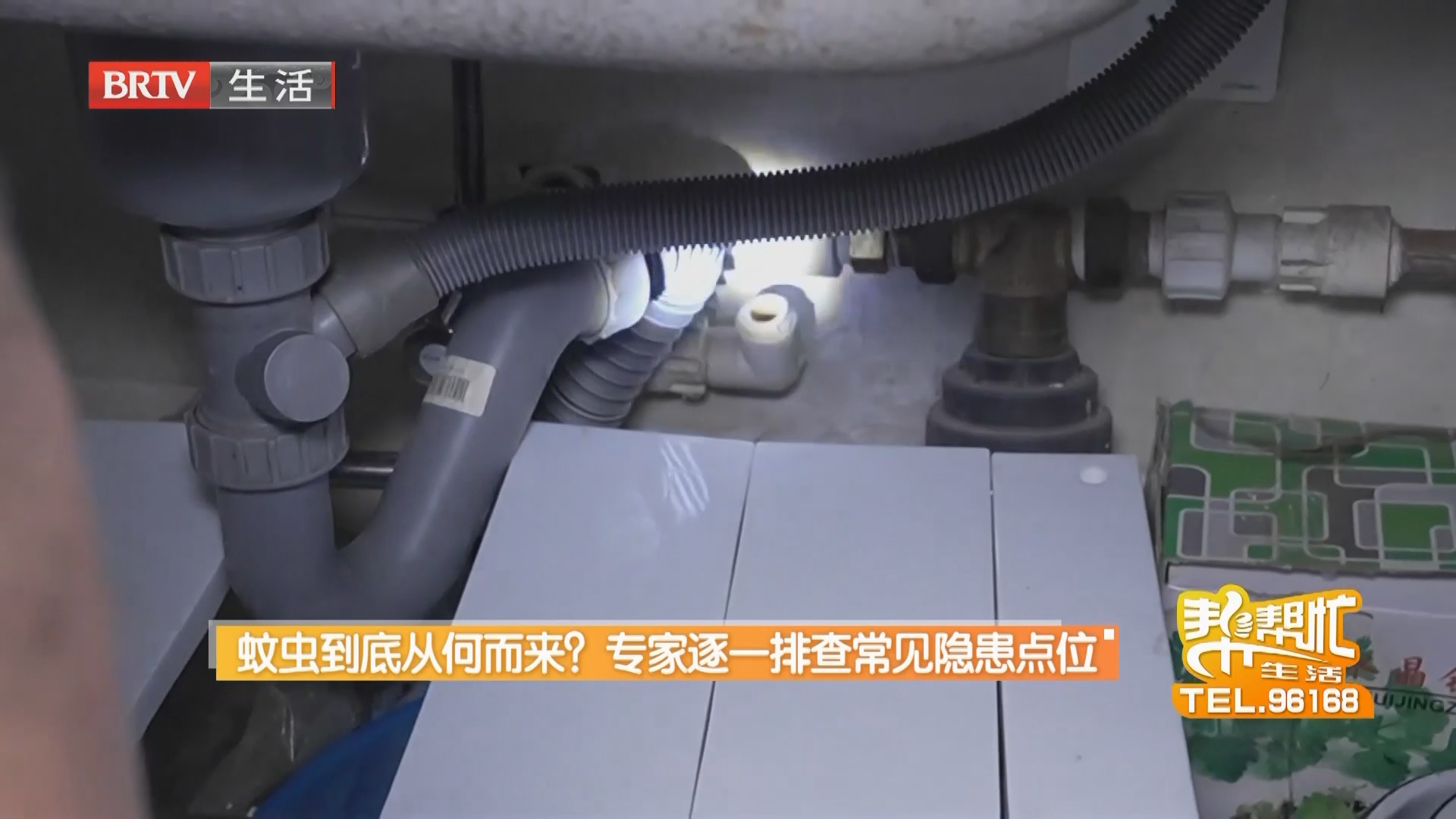蚊虫到底从何而来？专家逐一排查常见隐患点位