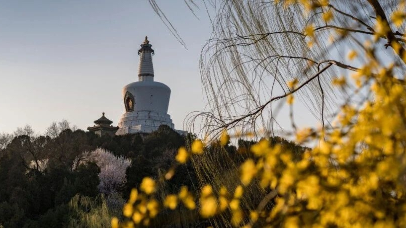 拍照打卡直接收藏!2026北京全年赏花追叶时间表来了! 拍照打卡直接收藏!2026北京全年赏花追叶时间表来了!