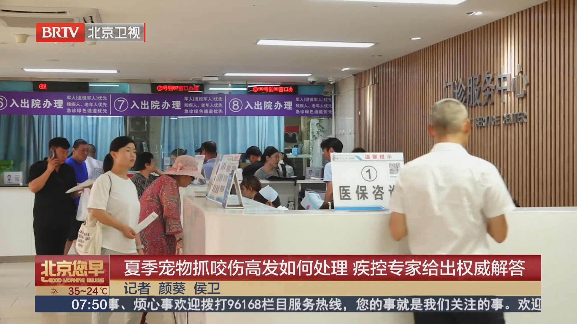 夏季宠物抓咬伤高发如何处理 疾控专家给出权威解答 夏季宠物抓咬伤高发如何处理 疾控专家给出权威解答