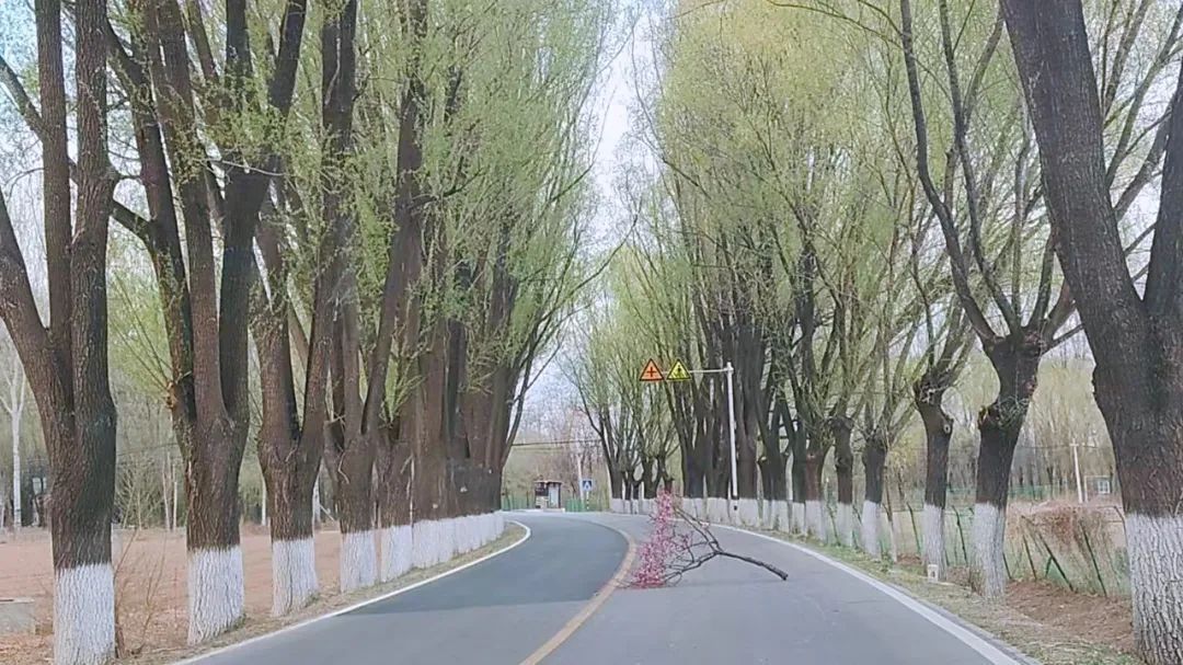 大风橙色预警中 当前至下午北风最强时段 请加强防范 大风橙色预警中 当前至下午北风最强时段 请加强防范