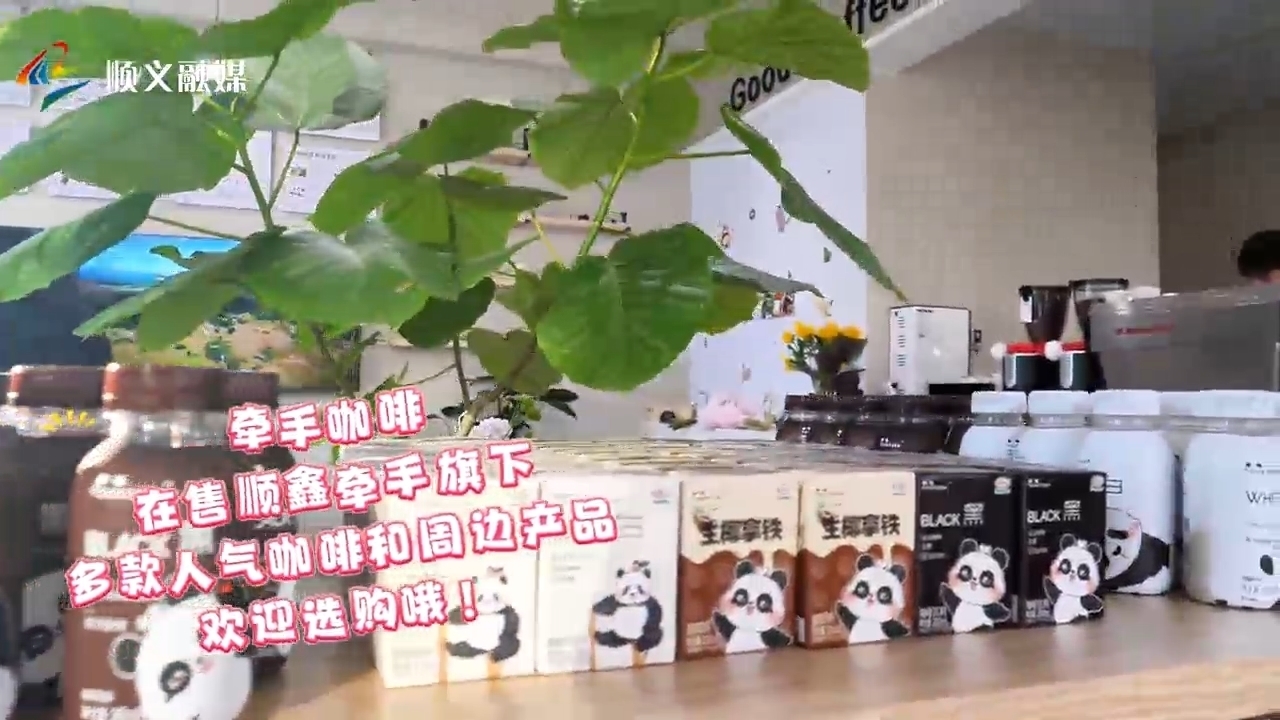 国企新体验,顺鑫牵手咖啡首店开业!熊猫与咖啡,邂逅一抹醇香! 国企新体验,顺鑫牵手咖啡首店开业!熊猫与咖啡,邂逅一抹醇香!