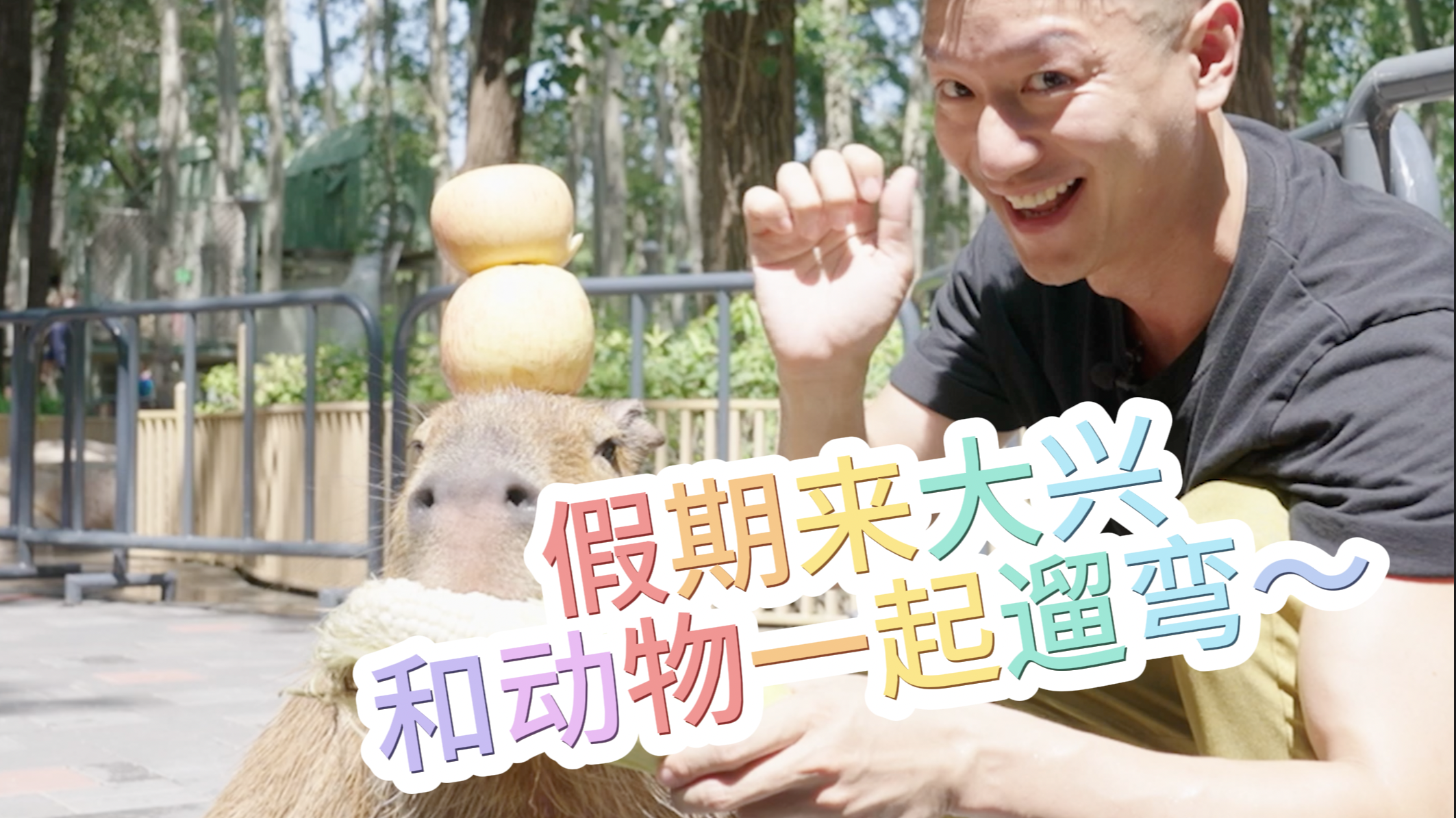 大兴｜十一假期大兴亲子游攻略