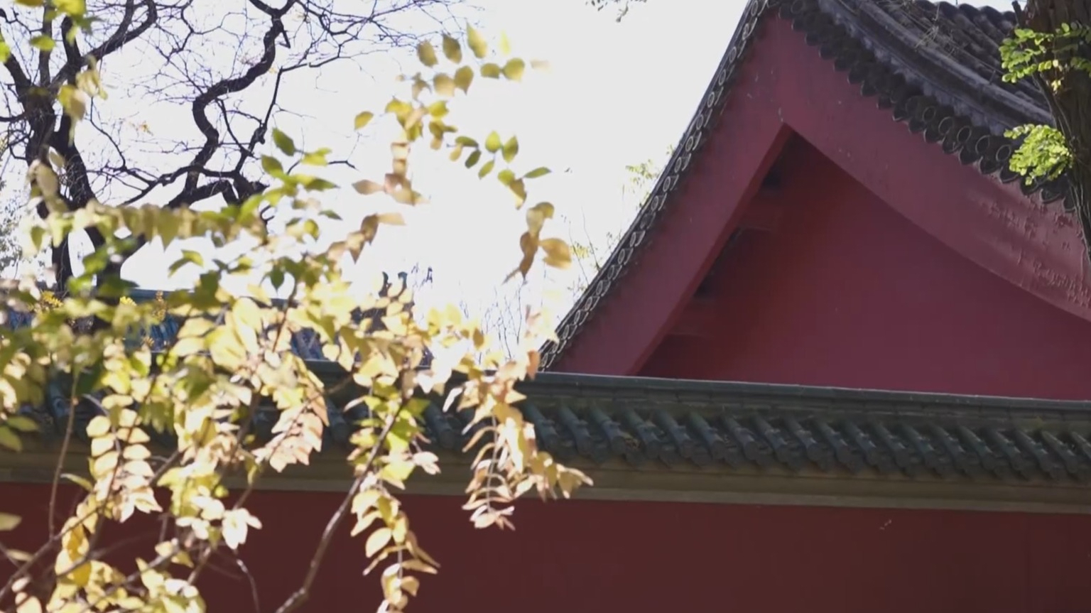北京市解除寒潮蓝色预警 未来三天气温逐渐回升