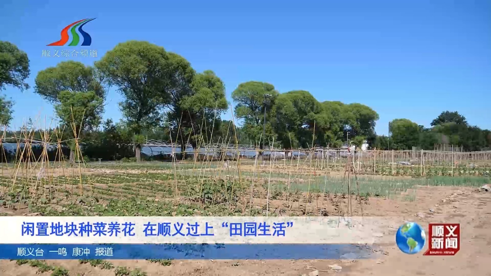闲置地块种菜养花 在顺义过上“田园生活”