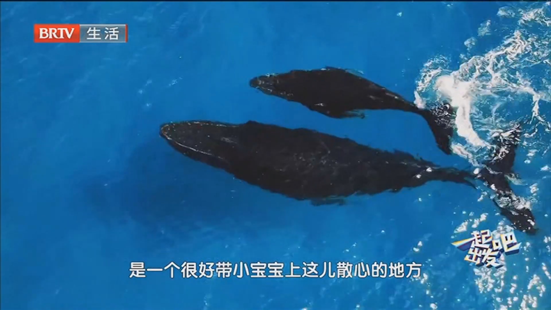 《一起出发吧》20260131南非等你悦享新魅力