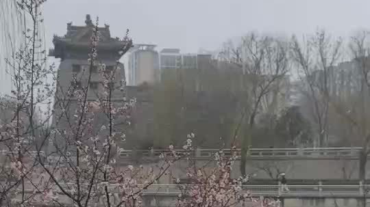 北京飘雪啦!今天下午至前半夜有明显降雪 北京飘雪啦!今天下午至前半夜有明显降雪