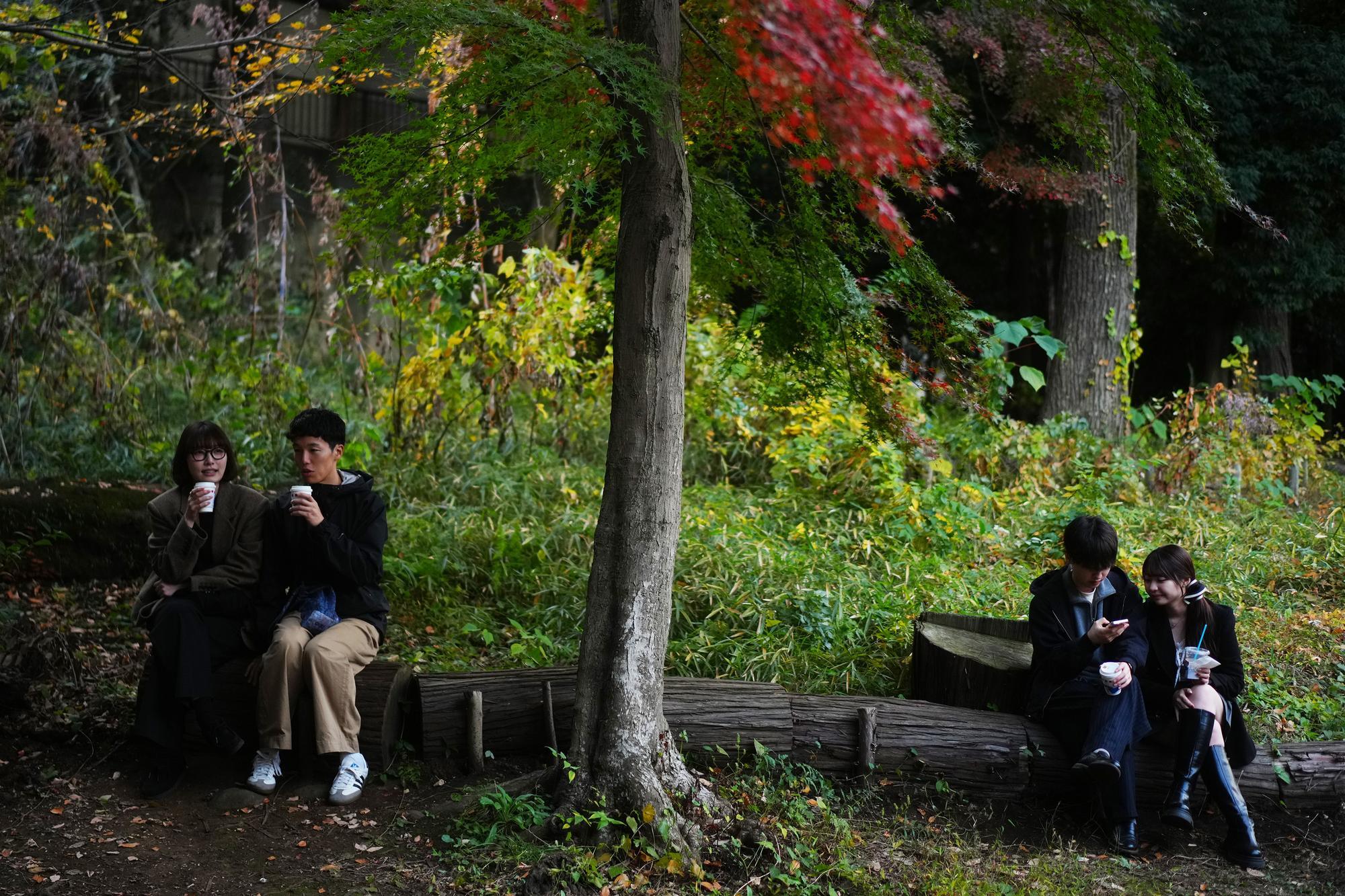 “熊出没”频发　日本保险公司首创旅游机构“熊害”保险