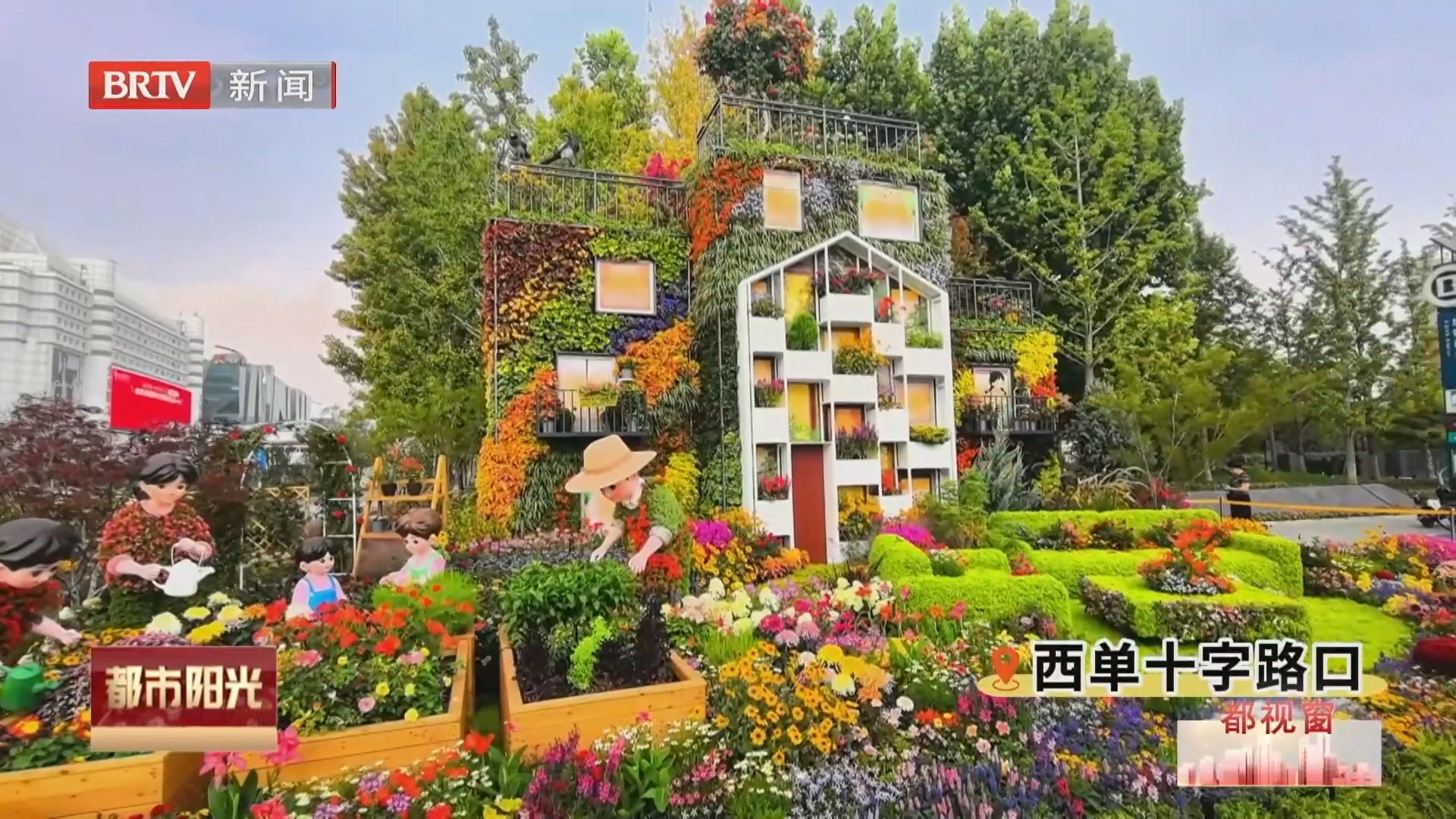 鲜花缀满街巷 西城绚丽花坛与祖国同庆