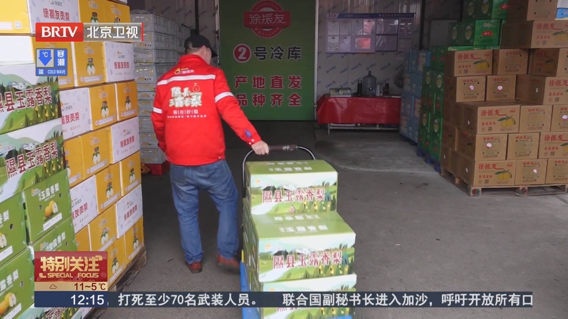 秋季水果市场梨类领跑 玉露香梨销量成金秋爆款 秋季水果市场梨类领跑 玉露香梨销量成金秋爆款