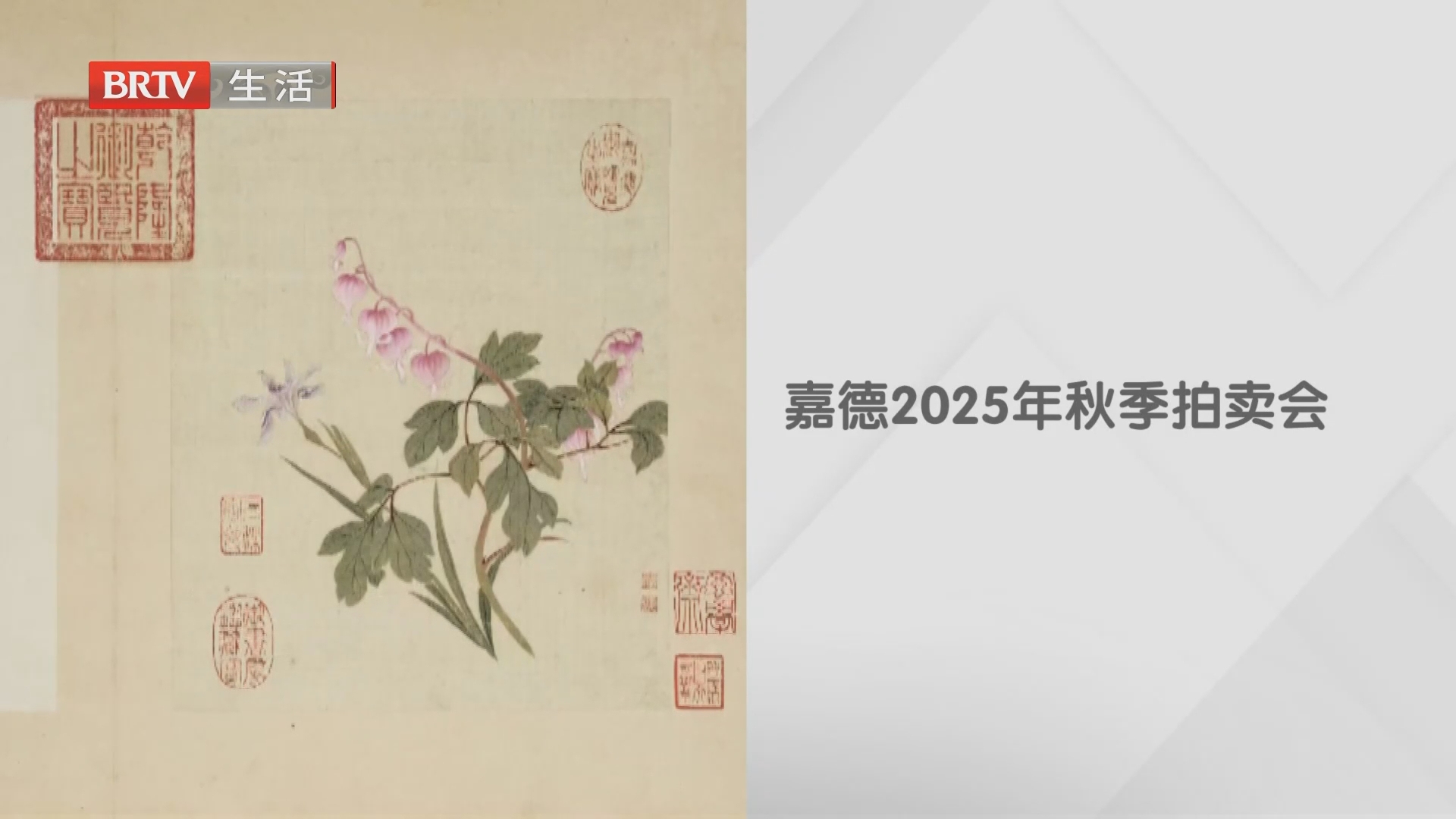 《生活帮帮忙》20261004 《生活帮帮忙》20261004