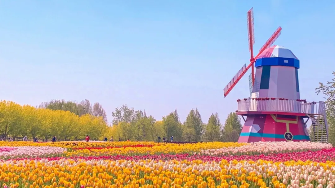 月满顺义，情醉千年！