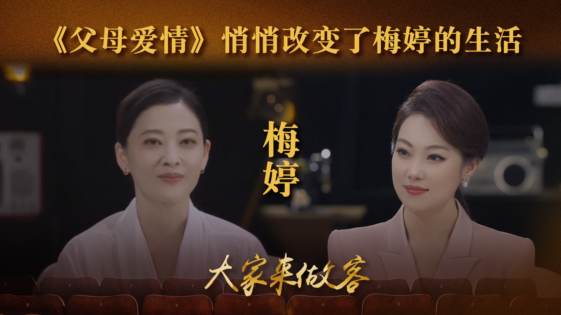 一部《父母爱情》悄悄改变了梅婷的生活