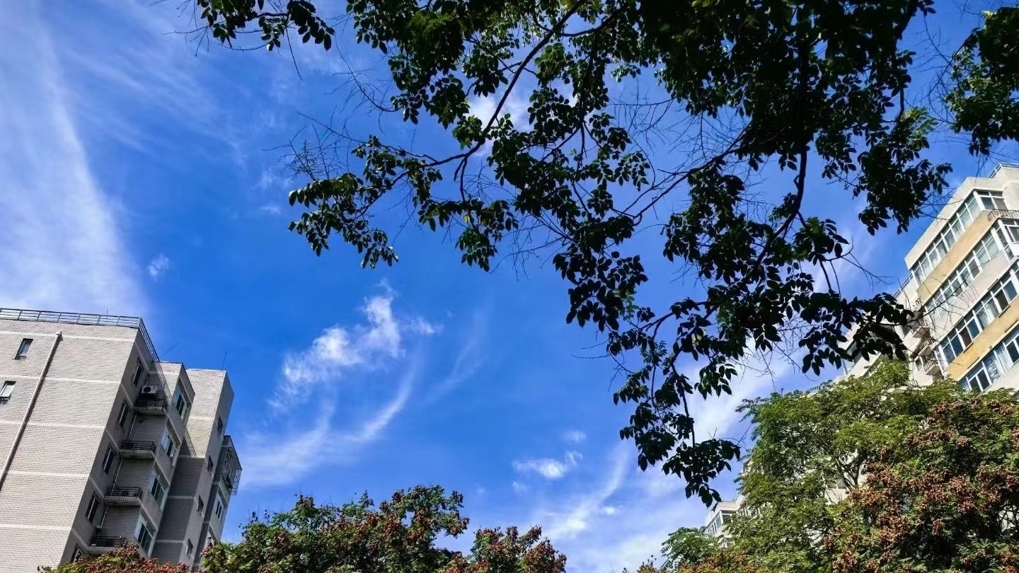 今日处暑 白天最高气温34℃ 体感依然闷热