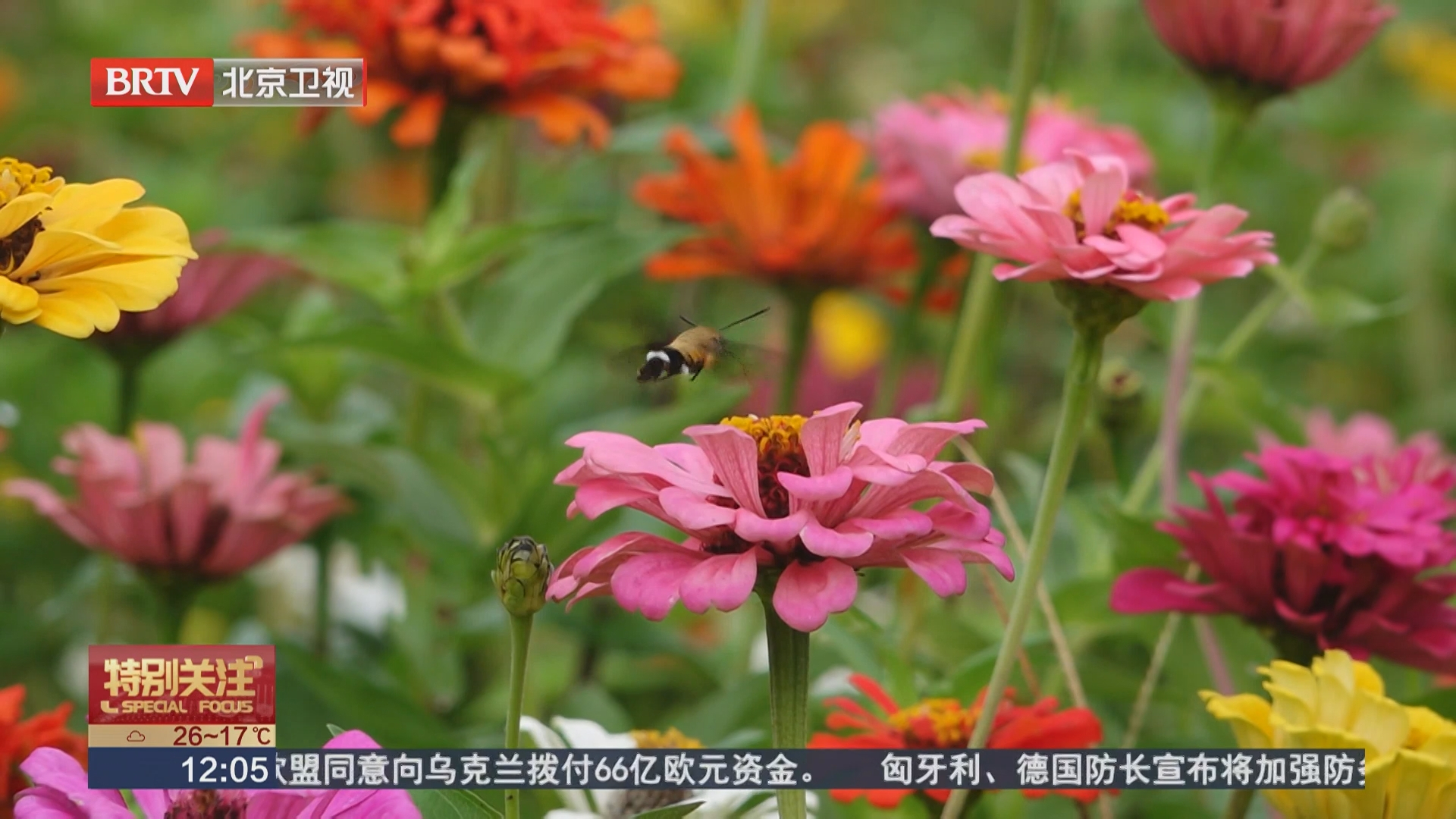 114.2万人次游客参与百余项中秋游园活动
